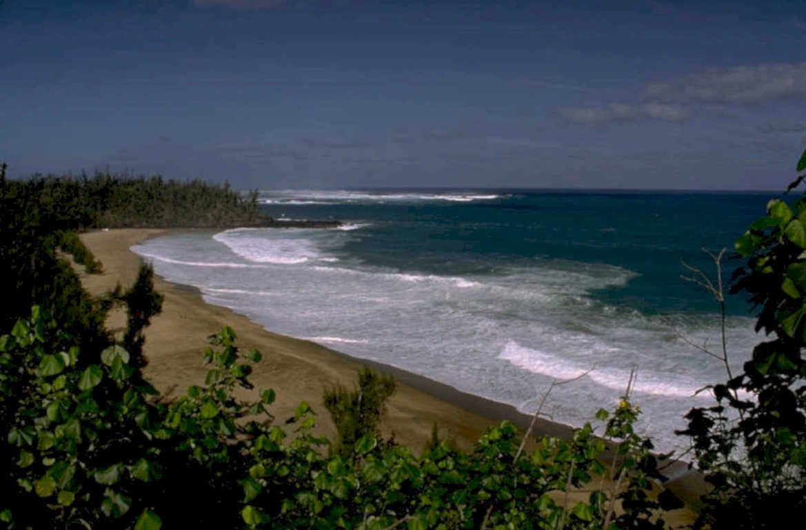 hawaii beach view 1980s 1990s A4 Photo Print
