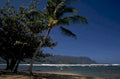 hawaii beach waves 1980s 1990s A4 Photo Print