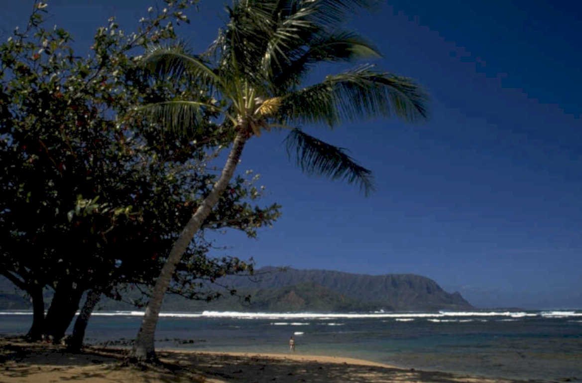 hawaii beach waves 1980s 1990s A4 Photo Print