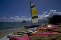 hawaii catamaran sailing 1980s 1990s A4 Photo Print