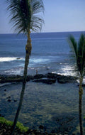 hawaii coast landscape 1980s 1990s A4 Photo Print