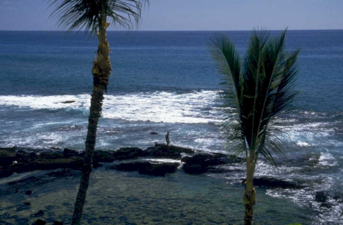 hawaii coastline surfer 1980s 1990s A4 Photo Print