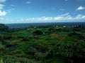 hawaii farm landscape1980s 1990s A4 Photo Print