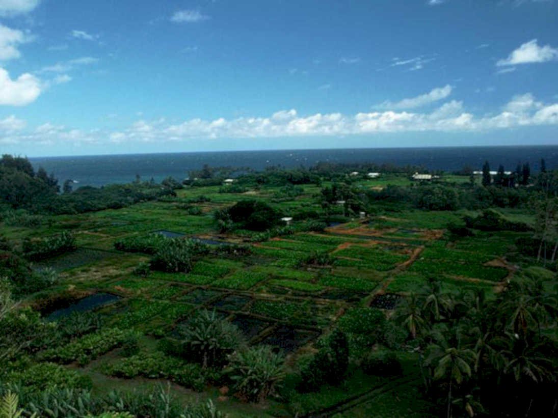 hawaii farm landscape1980s 1990s A4 Photo Print