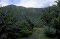 hawaii landscape drive 1980s 1990s A4 Photo Print