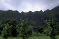 hawaii oahu landscape 1980s 1990s A4 Photo Print