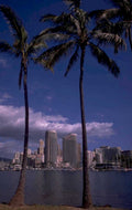 hawaii skyline waikiki 2 1980s 1990s A4 Photo Print