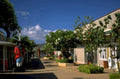hawaii streetscape art 1980s 1990s A4 Photo Print