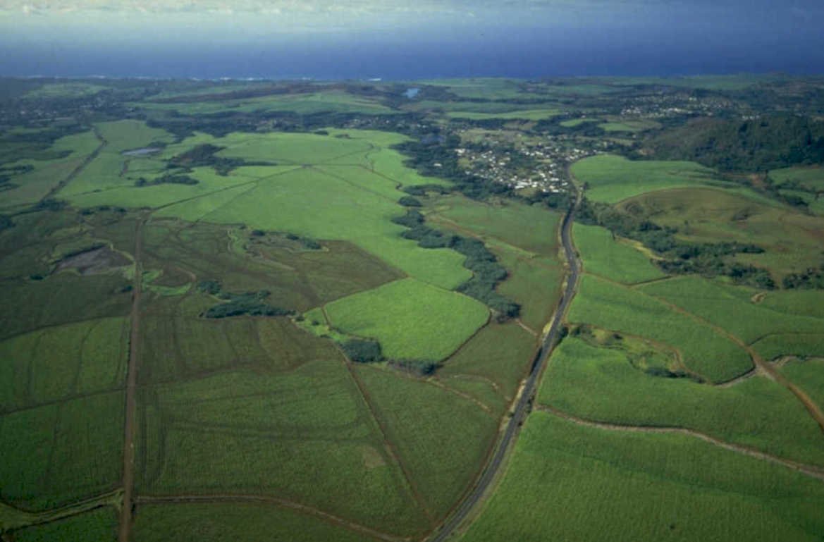 hawaii sugar cane 1980s 1990s A4 Photo Print