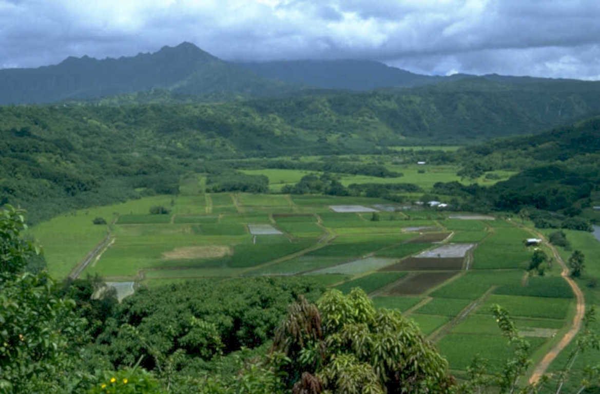hawaii tantalus valley 1980s 1990s A4 Photo Print
