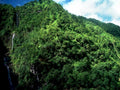 hawaii waterfalls hillside1980s 1990s A4 Photo Print
