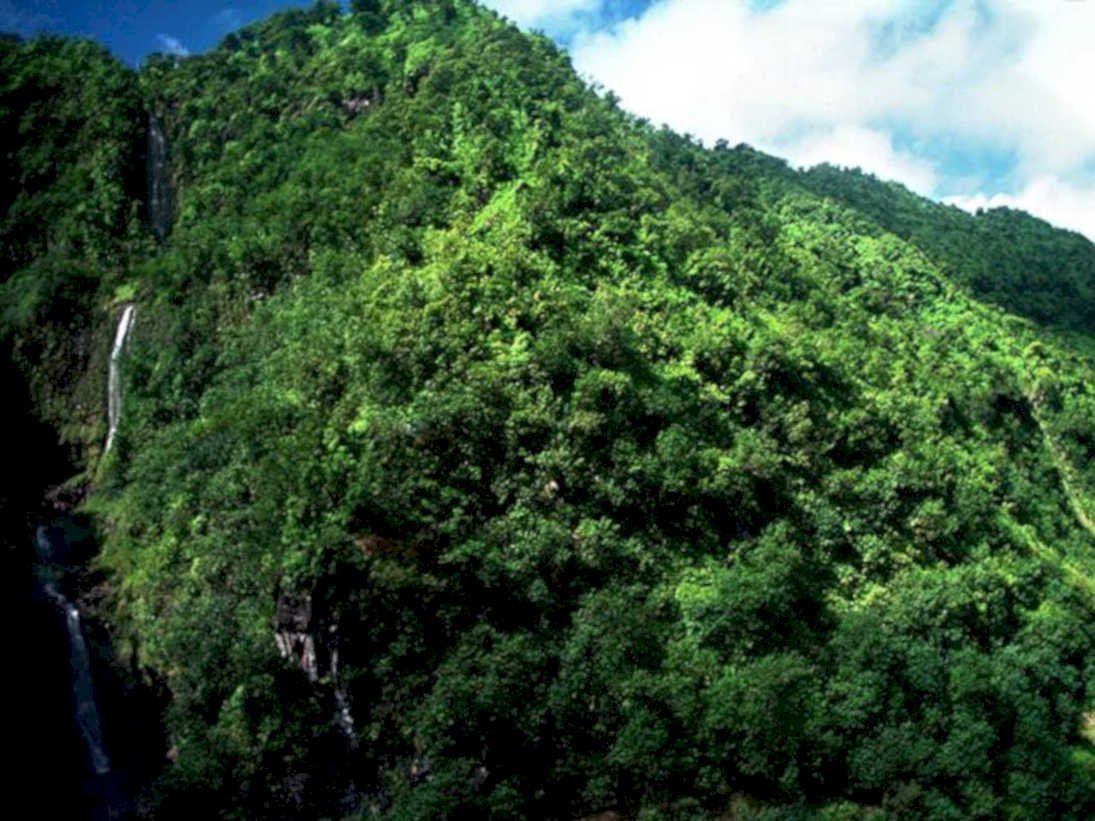 hawaii waterfalls hillside1980s 1990s A4 Photo Print