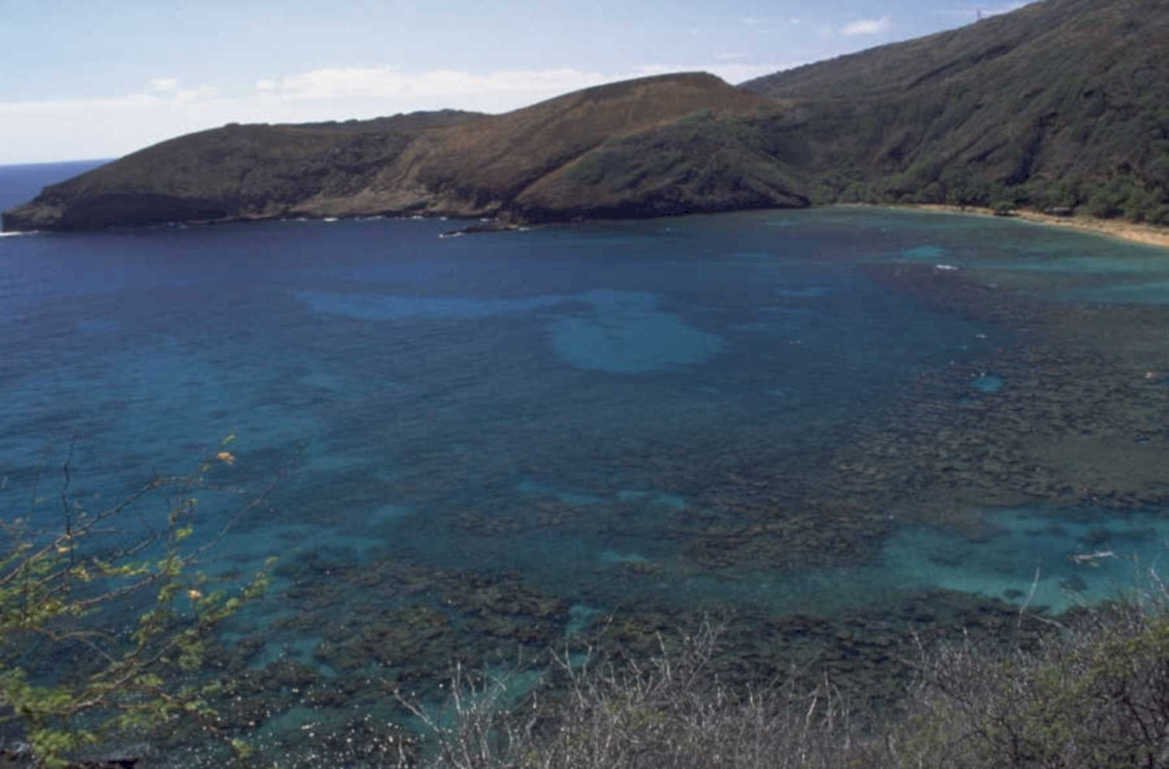 hawaiian coastline reef 1980s 1990s A4 Photo Print
