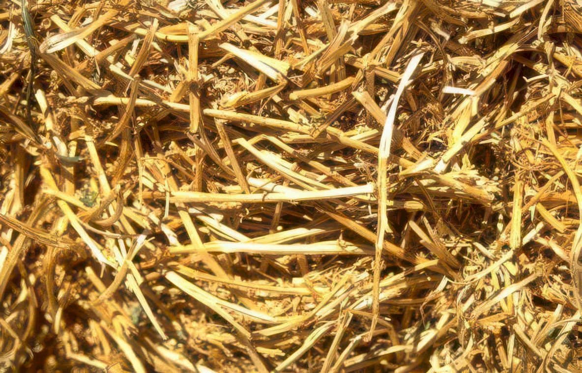hay bale texture Vintage A4 Photo Print
