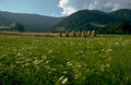hay bales mountains 1980s 1990s A4 Photo Print