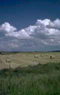 hay bales summer 1980s 1990s A4 Photo Print