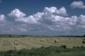 hay bales wheat 1980s 1990s A4 Photo Print