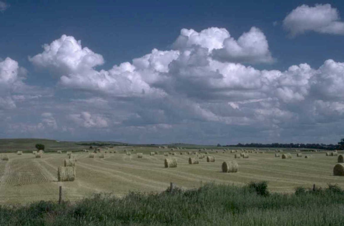 hay bales wheat 1980s 1990s A4 Photo Print