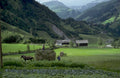 haymaking valley mountains 1980s 1990s A4 Photo Print