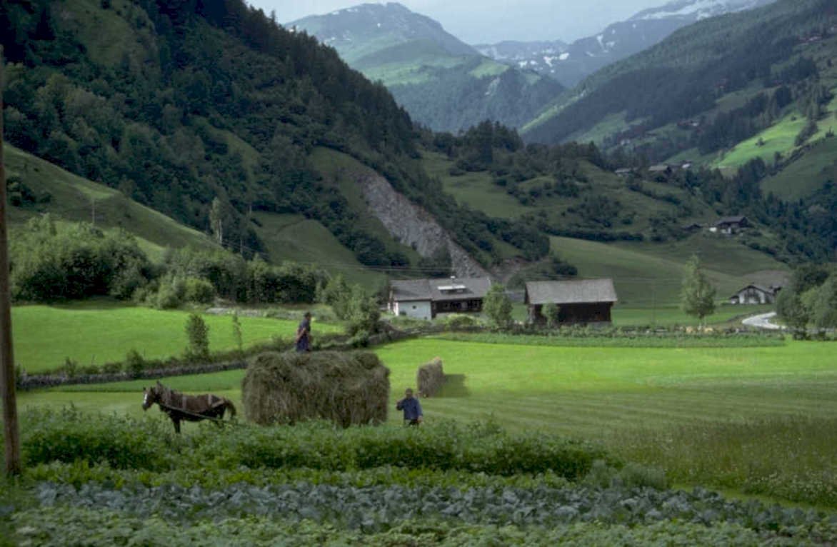 haymaking valley mountains 1980s 1990s A4 Photo Print