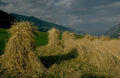 haystacks autumn hills 1980s 1990s A4 Photo Print