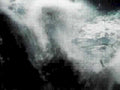 head xray frontal1980s 1990s A4 Photo Print