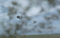 helicopters huey formation Vintage A4 Photo Print