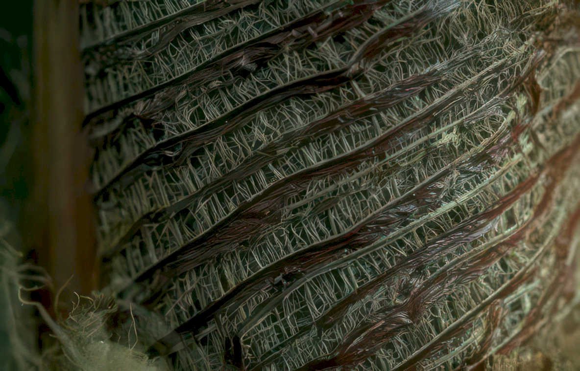 hempfiber coil macro Vintage A4 Photo Print