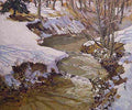 hen stream shadows Art A4 Photo Print