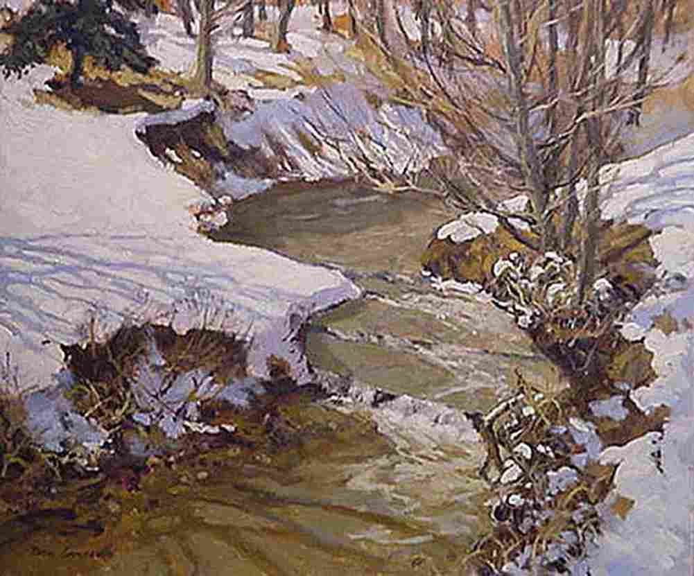 hen stream shadows Art A4 Photo Print