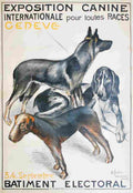 henri fehr exposition internationale canine geneve 1921 4 Advert A4 Photo Print