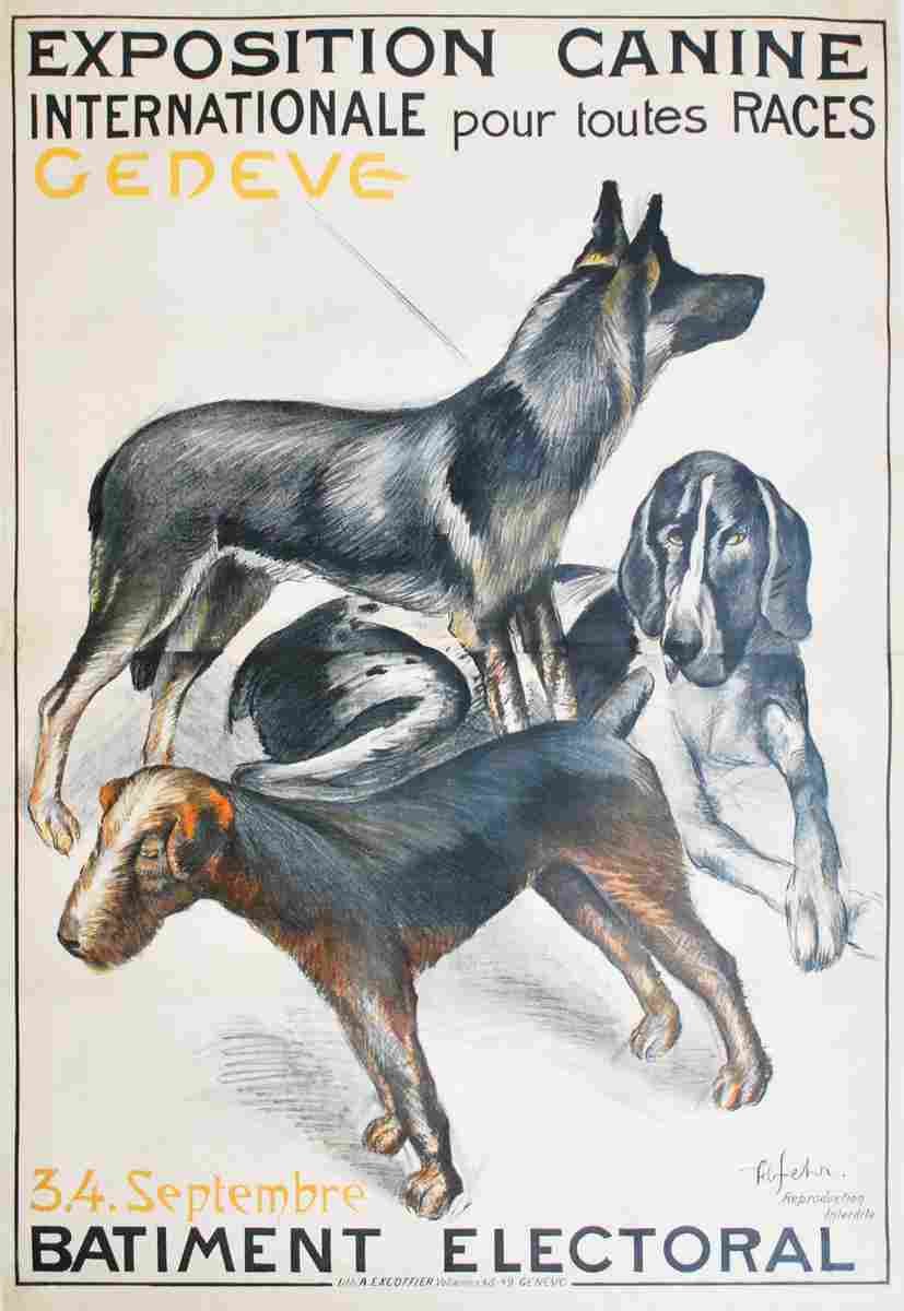 henri fehr exposition internationale canine geneve 1921 4 Advert A4 Photo Print