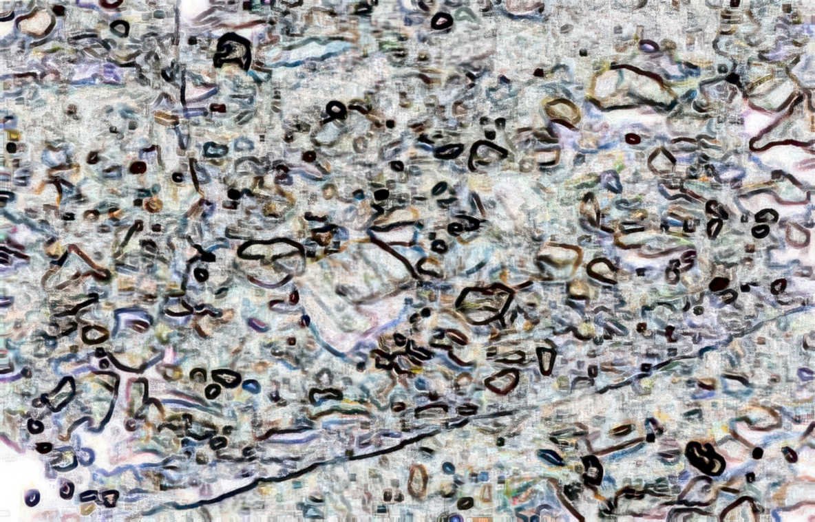 hepatocyte liver tissue Vintage A4 Photo Print