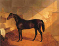 herring j f sr mr johnstone s charles xii in a stable Art A4 Photo Print