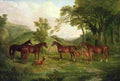 herring j f sr streatlam stud mares and foals Art A4 Photo Print