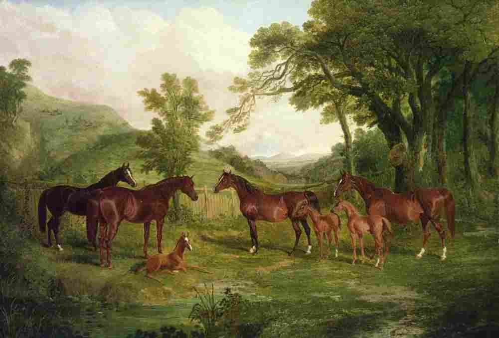 herring j f sr streatlam stud mares and foals Art A4 Photo Print