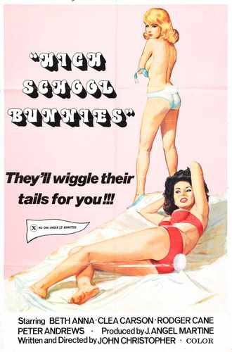 high school bunnies  01 film star poster A4 Photo Print