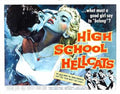 high school hellcats  02 film star poster A4 Photo Print