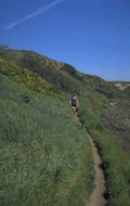 hiking trail summer 1980s 1990s A4 Photo Print