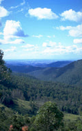 hills sky eucalyptus 1980s 1990s A4 Photo Print