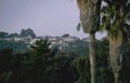 hillside houses palm Vintage A4 Photo Print