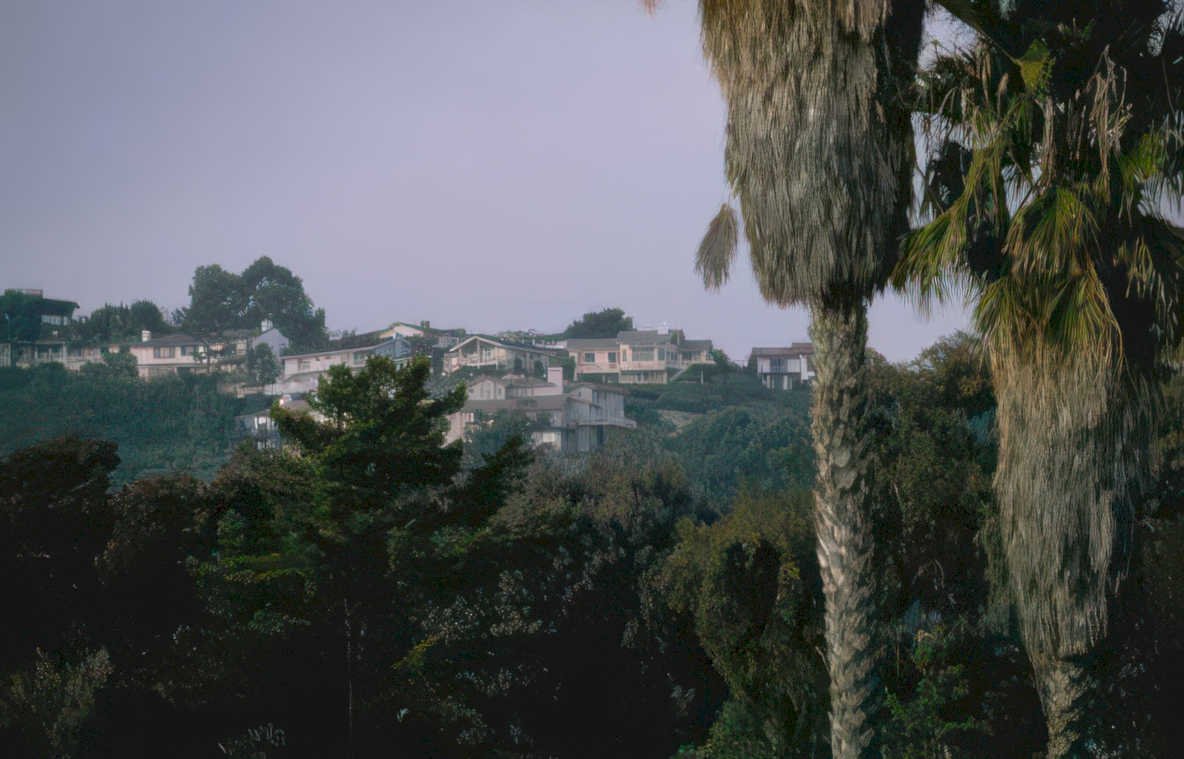 hillside houses palm Vintage A4 Photo Print
