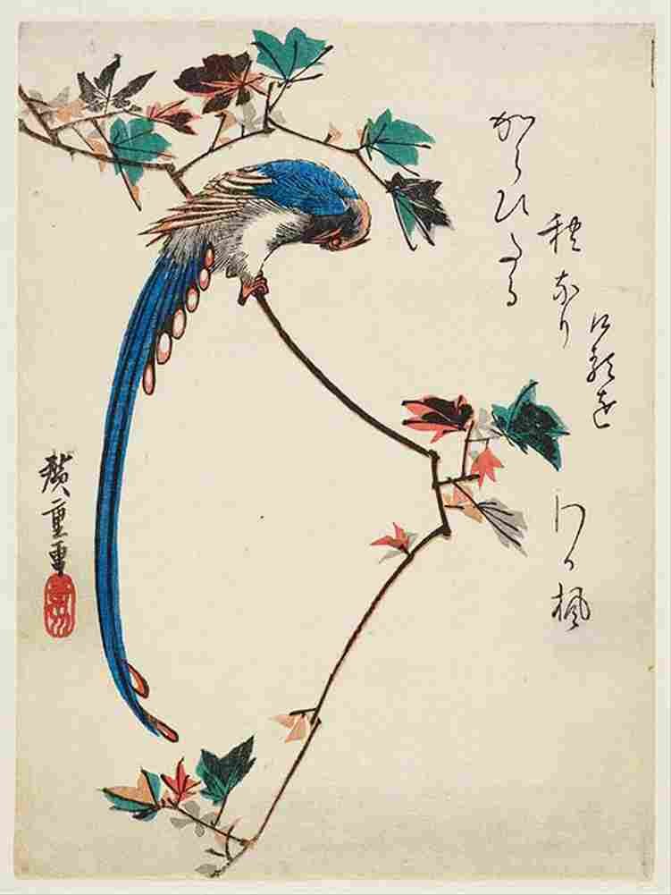 hiroshige Blue Magpie on Maple Branch Art A4 Photo Print