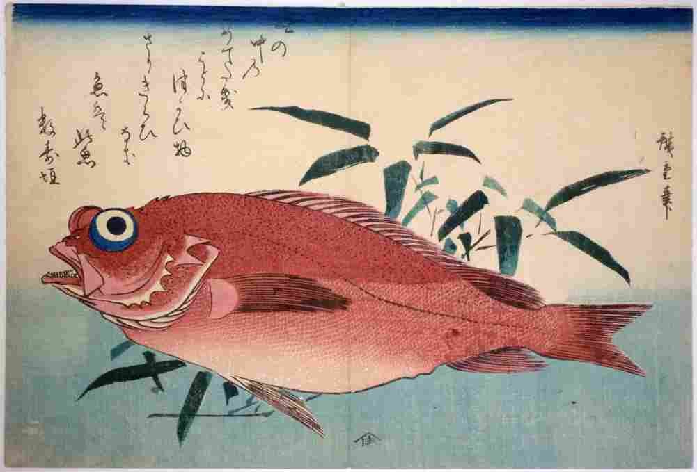 hiroshige Rock fish Art A4 Photo Print