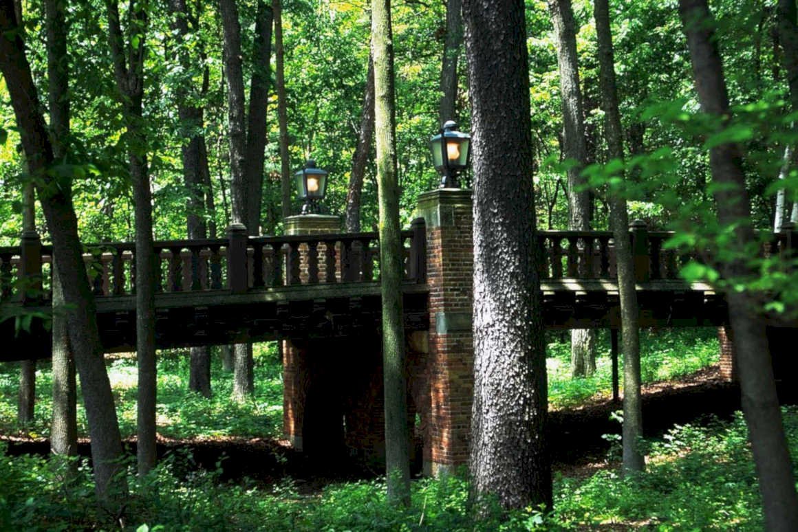 historic bridge forest1980s 1990s A4 Photo Print