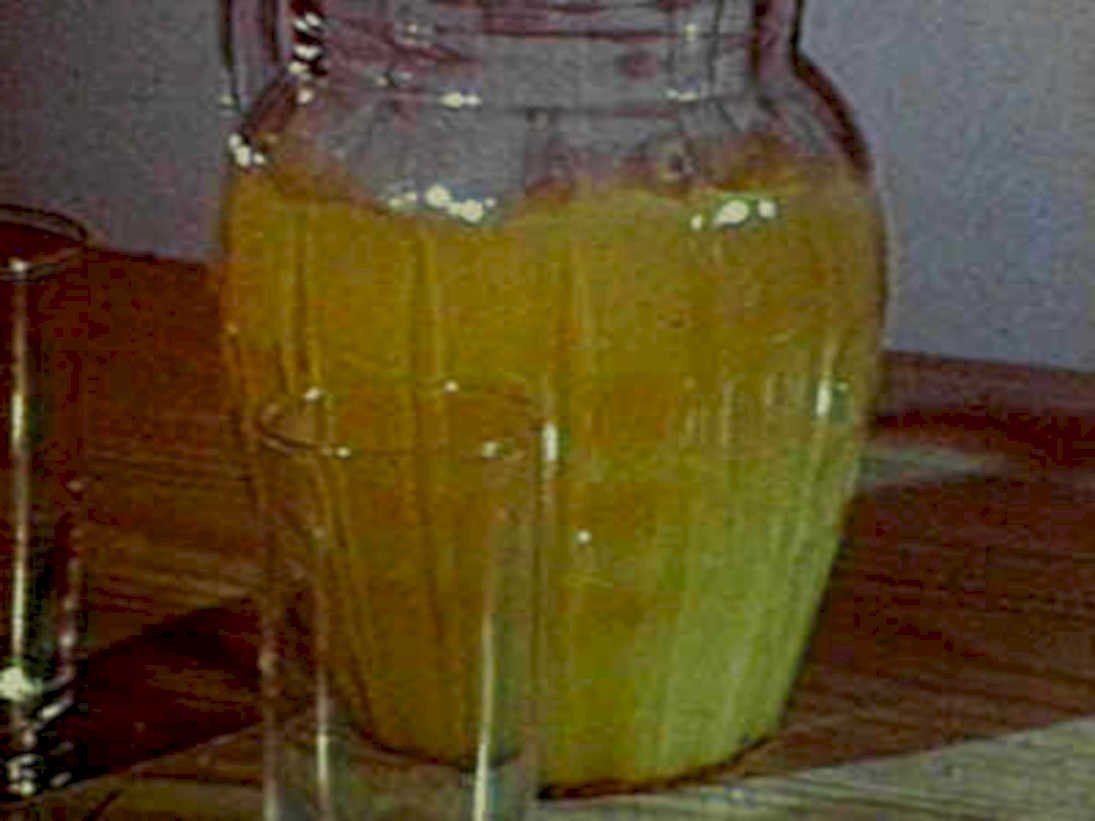 homemade orange juice1980s 1990s A4 Photo Print