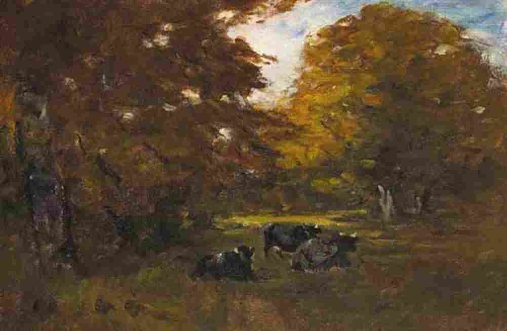 honeY Cows in Tree Shadows Art A4 Photo Print