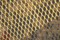 honeycomb beeswax cells 1980s 1990s A4 Photo Print