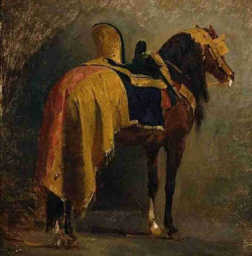 horse 6 Art A4 Photo Print
