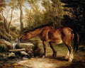 horse dr Art A4 Photo Print